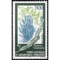 Antártica Francesa - FLORA