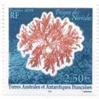 Antártica Fancesa - 2005