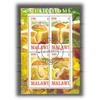MALAWI - COGUMELOS - SÉRIE 3 2013