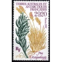 Antártica Francesa - Y 220 (1997) - flor da Antártica - novo com goma perfeita.