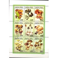 COMORES - Y801/09 - COGUMELOS 1998 - SÉRIE COM 9 SELOS EM FOLHINHA - ANO 2013