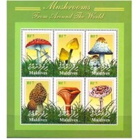 MALDIVES - ANO 2013 MALDIVES Y3128/33 - COGUMELOS 2001 - SÉRIE COM 6 SELOS EM FOLHINHA (MINT)