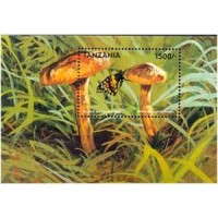 TANZÂNIA - ANO 2013 - BL.395 - COGUMELOS 1998 - BLOCO MINT