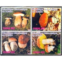 CONGO - ANO 2013 - 1998 - SÉRIE COM 4 SELOS MINT