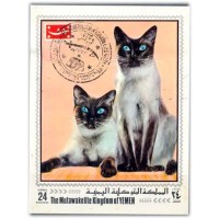 YEMEN - ANO 2013 - BLOCO AÉREO COM VALOR FACIAL DE 24 BOGSHAHS - NÃO CATALOGADO - NÃO DENTEADO - USADO